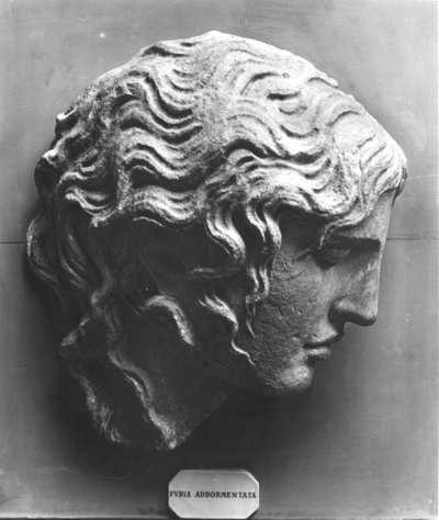 Kopf einer schlafenden Furie oder sterbenden Medusa von Roman Roman